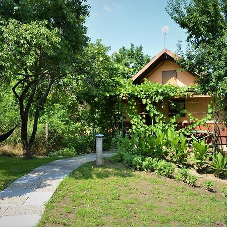 Apartamento Vinařství Koliba Cejkovice  Exterior foto