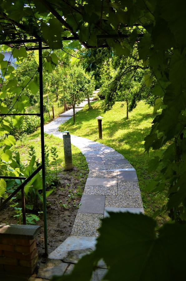 Apartamento Vinařství Koliba Cejkovice  Exterior foto